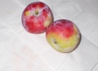jablka